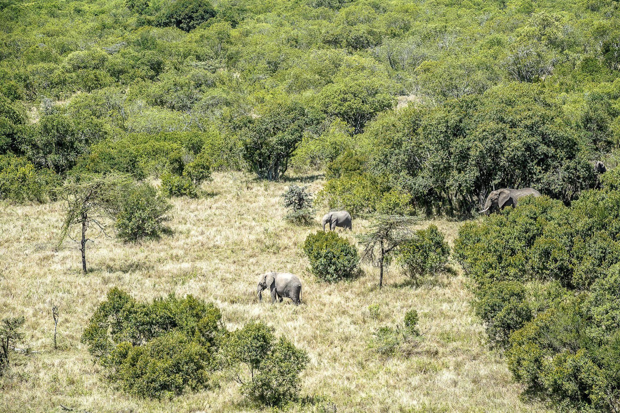 Mutara Camp- Nanyuki 호텔 외부 사진